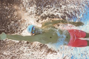 j9九游会官网登录 -蒂姆迎来七赛季出色发挥，澳大利亚队观众热烈欢呼！上演精彩一战